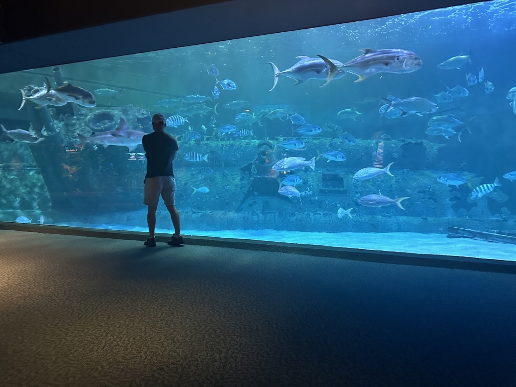 Acuario de Carolina del Norte en Pine Knoll Shores