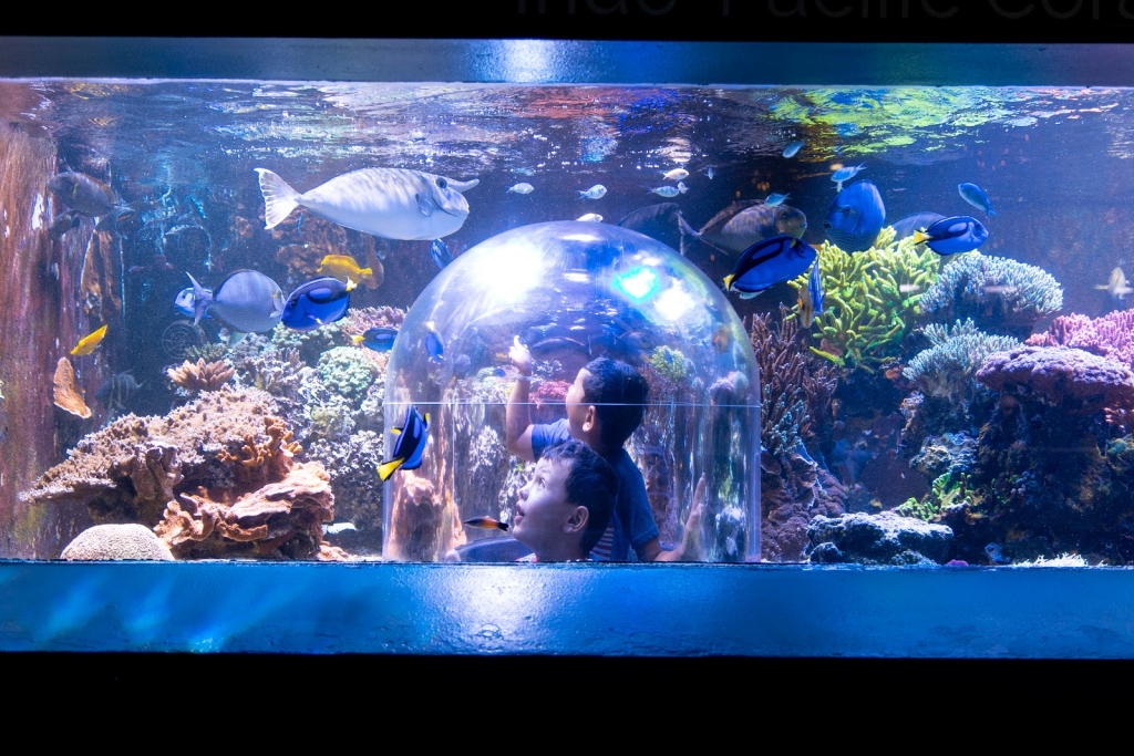 Casa de las Mariposas y Acuario