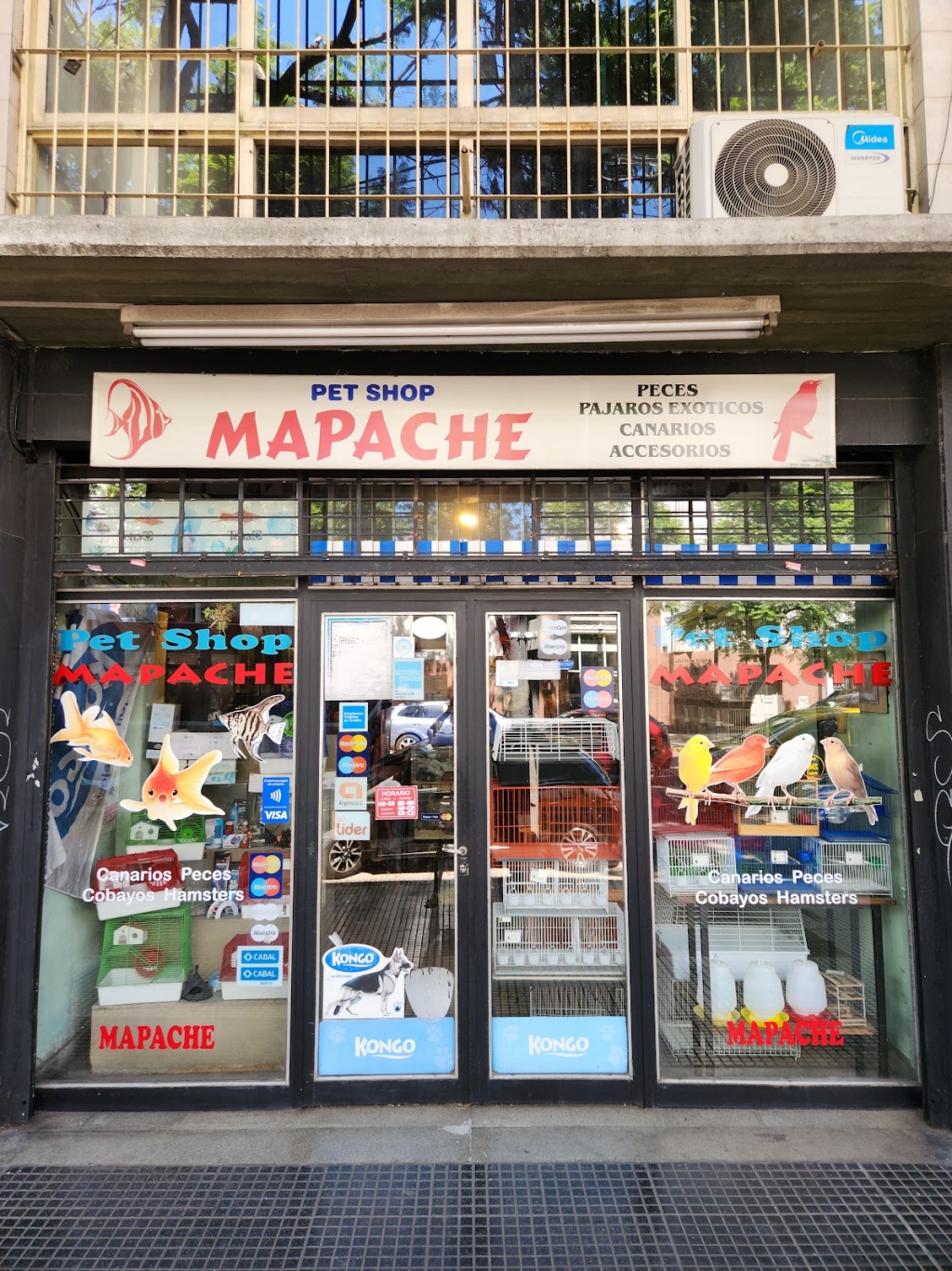 Mapache Pajarería Acuario