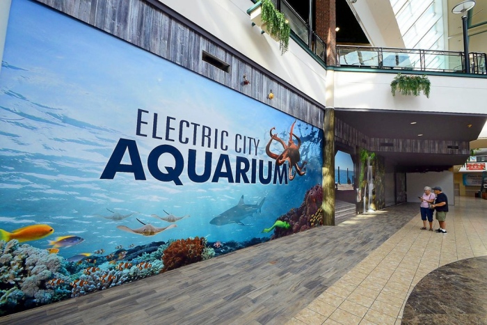 Acuario de Electric City & Refugio de Reptiles