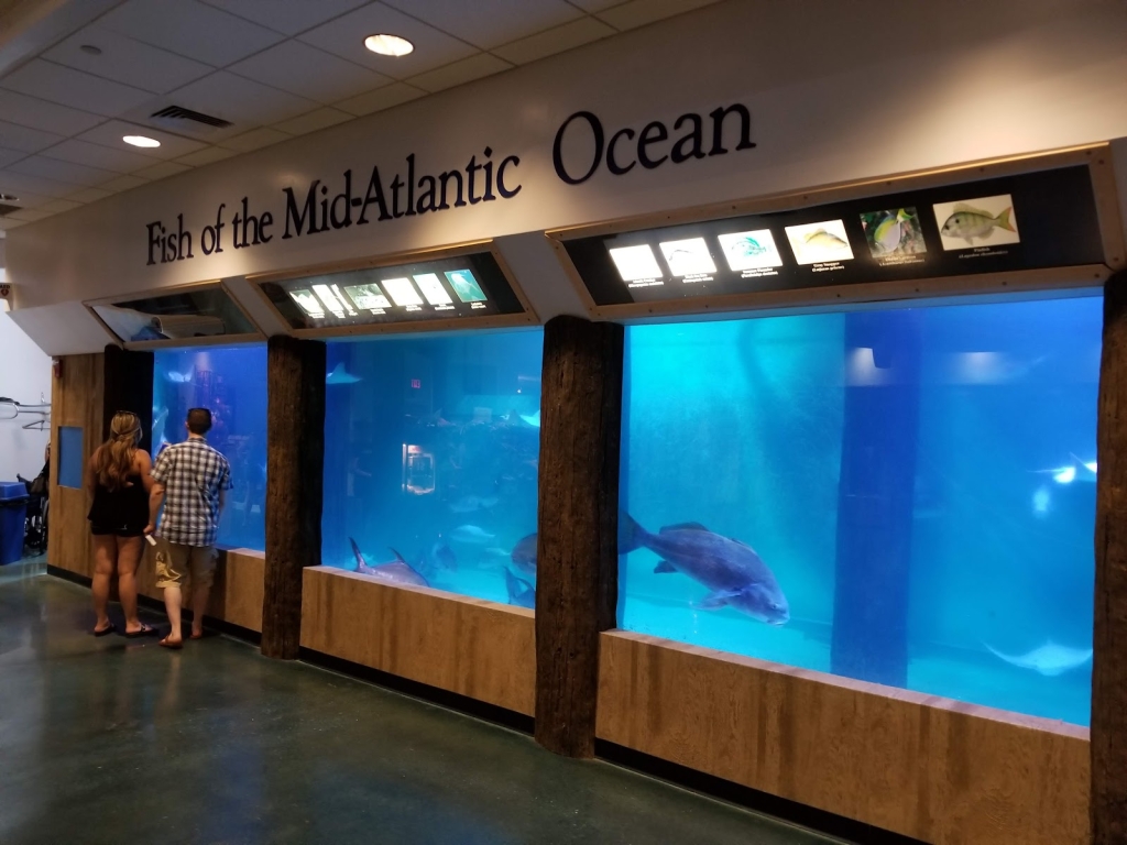 Acuario de Atlantic City