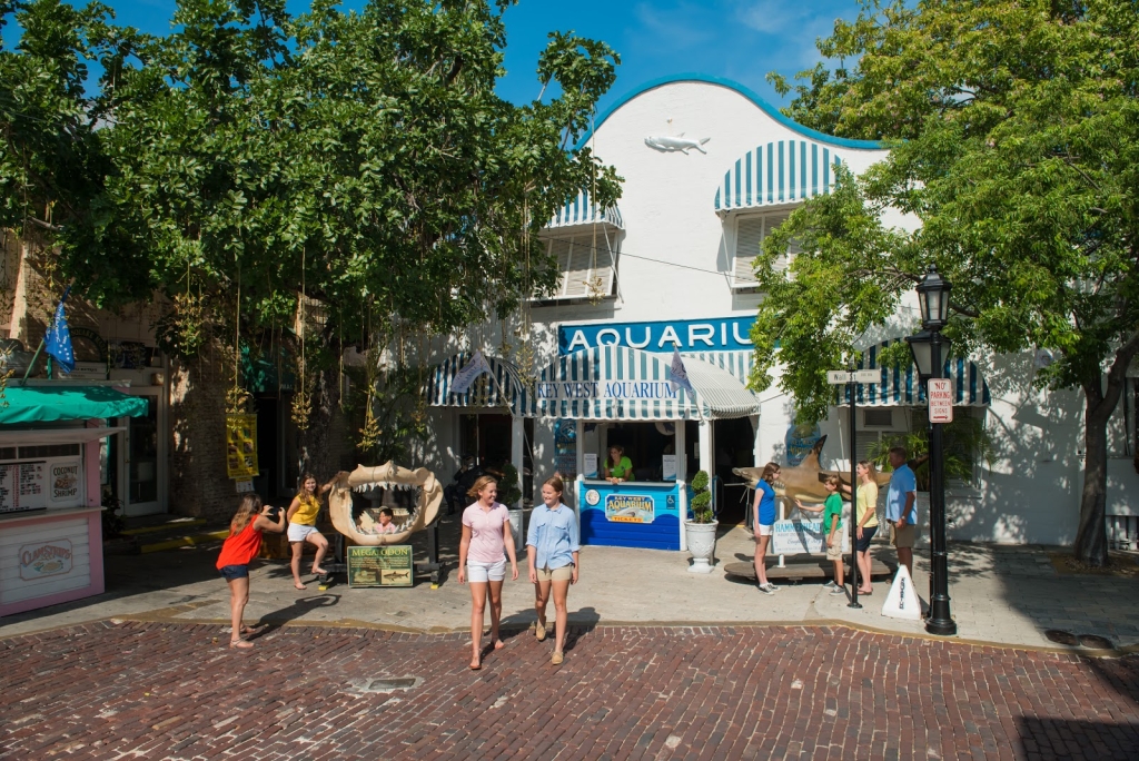Acuario de Key West