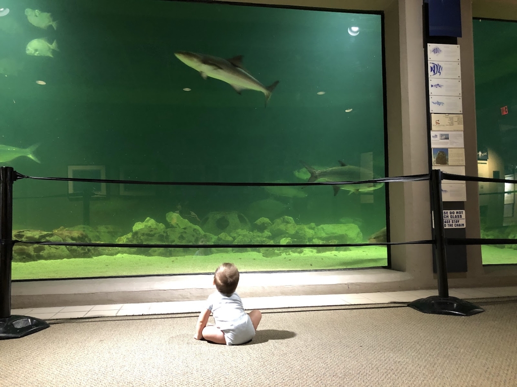 Sea Center Texas