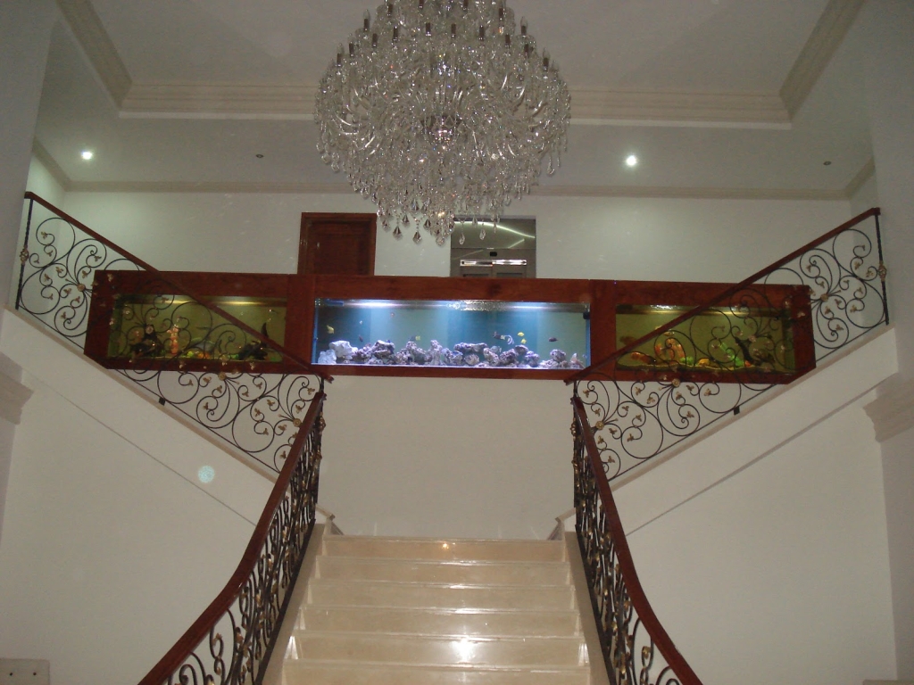 ACUARIUM Fish Ornamentales