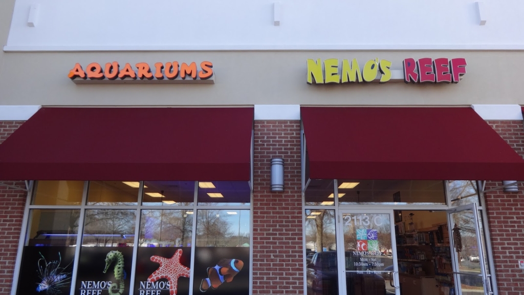 Nemo's Reef