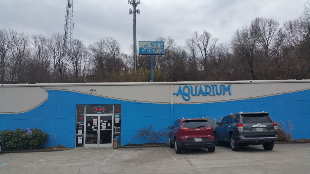 Acuario