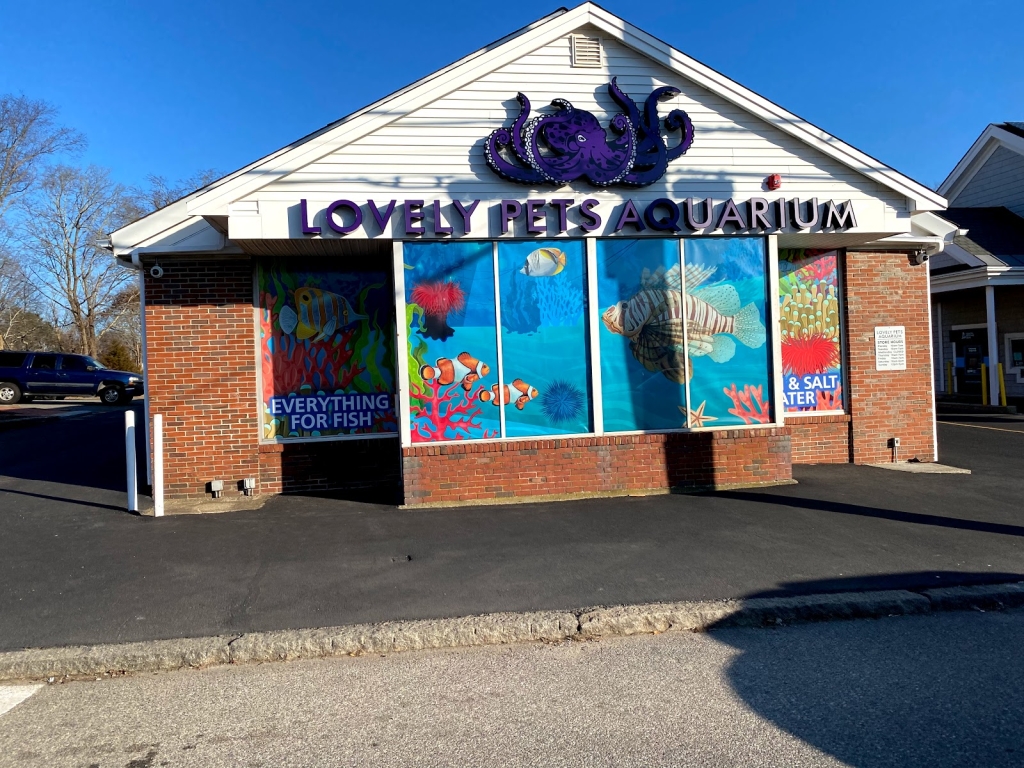 Acuario Lovely Pets