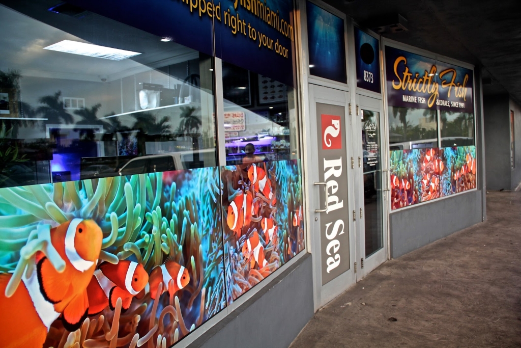 Pescados y Corales Estrictamente