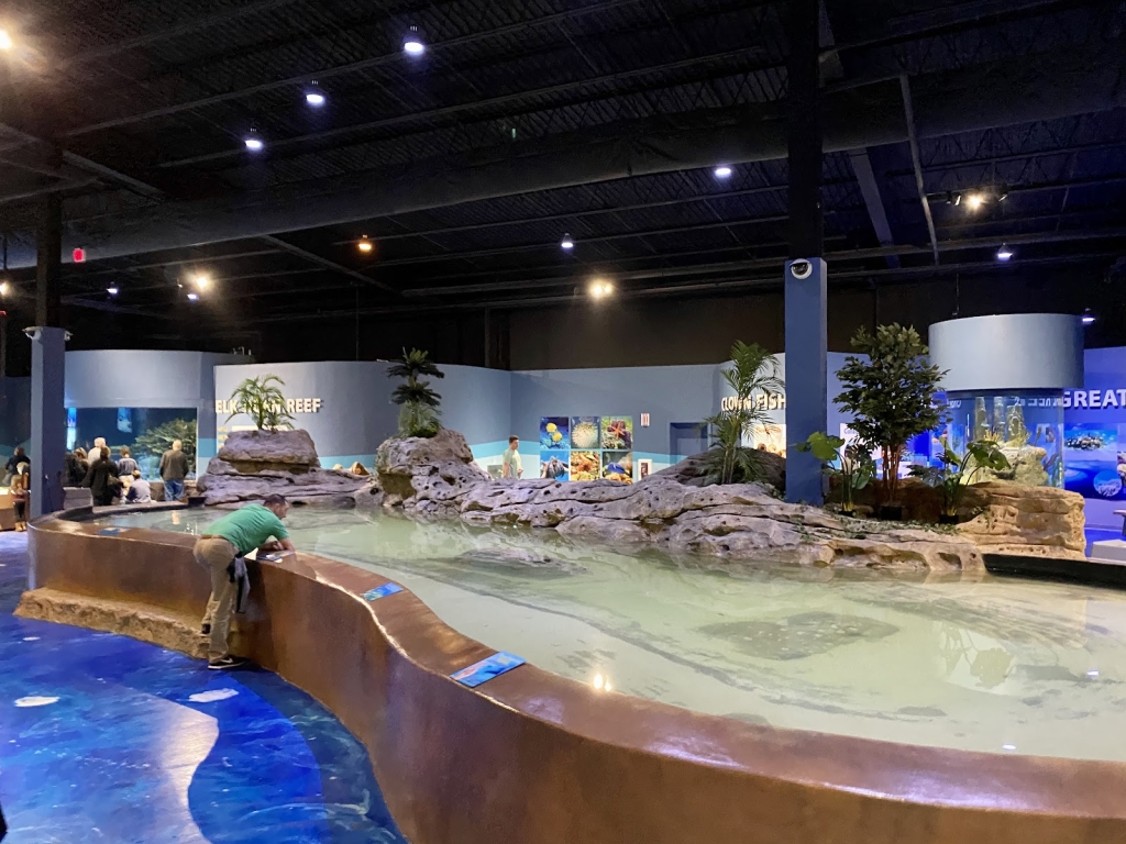Acuario Living Shores