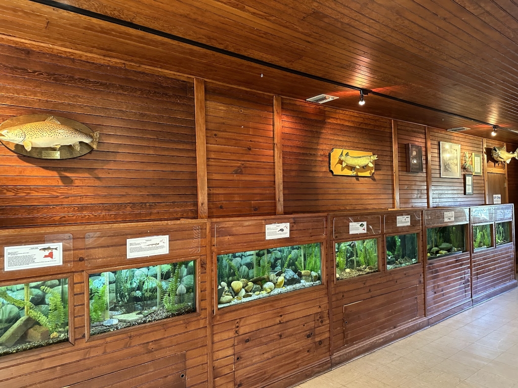 Criadero de Peces y Acuario de Cold Spring Harbor