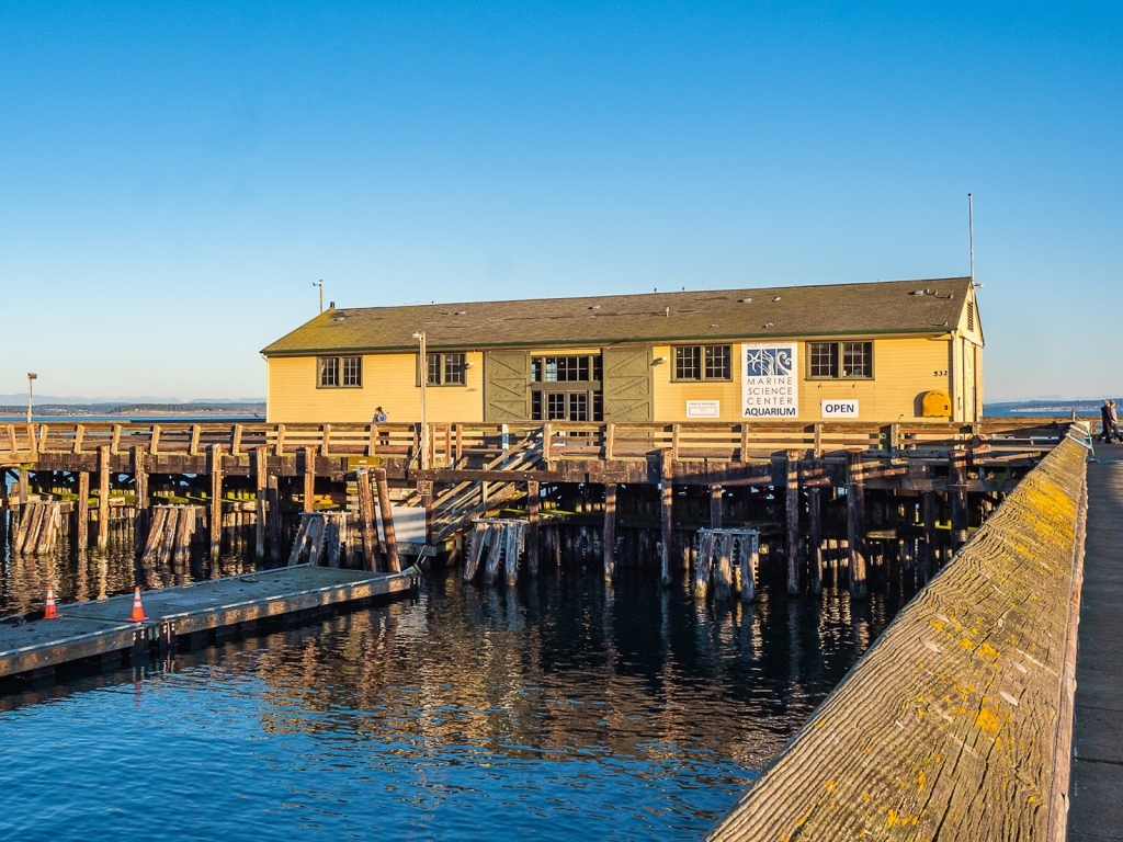 Centro de Ciencias Marinas de Port Townsend
