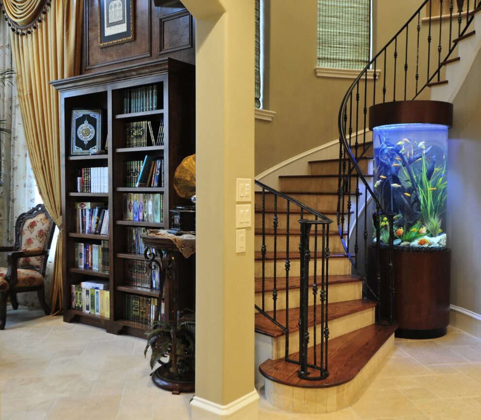 Galería de Peces Boutique | Supertienda de Acuarios