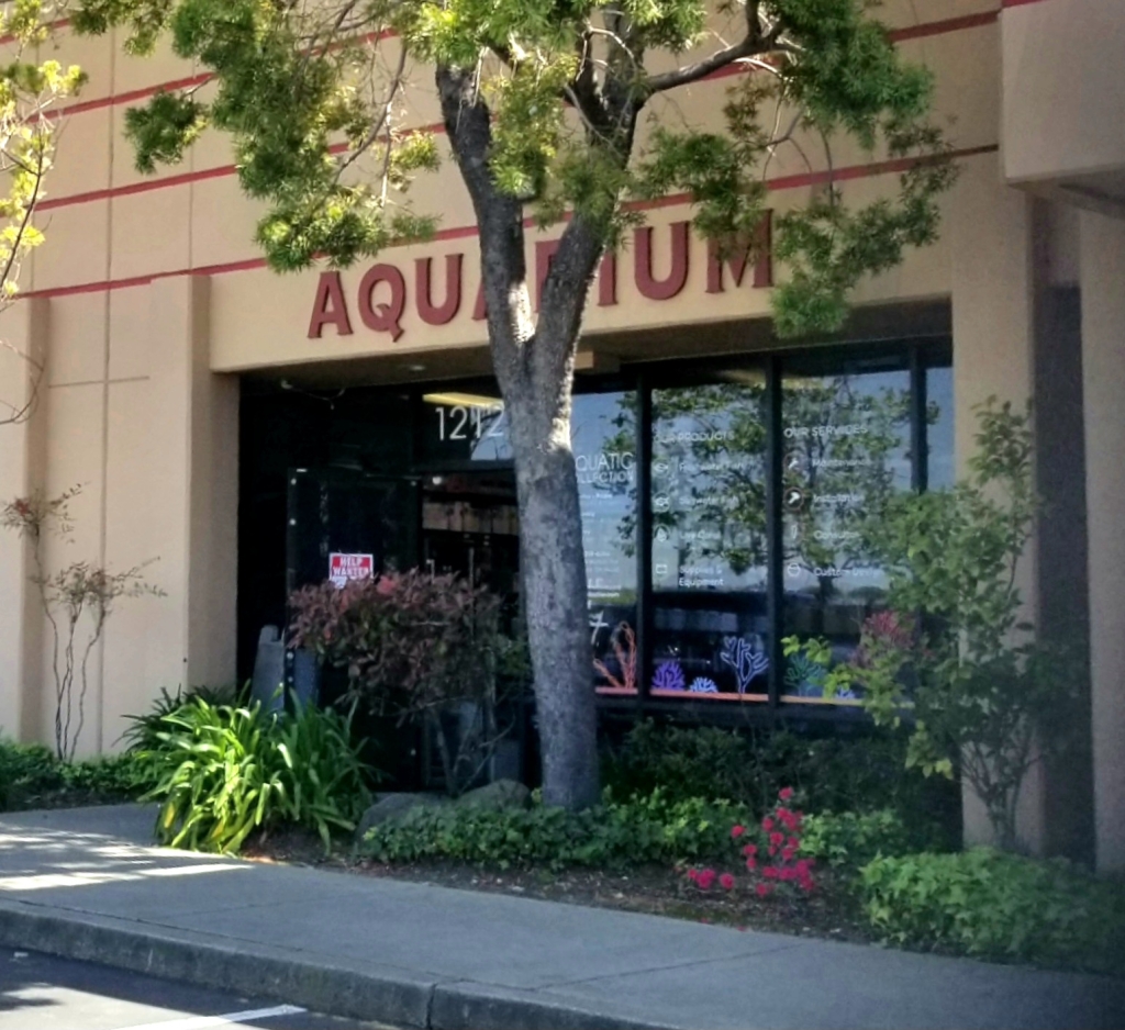 Colección Acuática