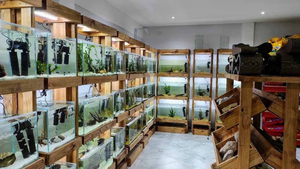 Acuario de Peces Argentina