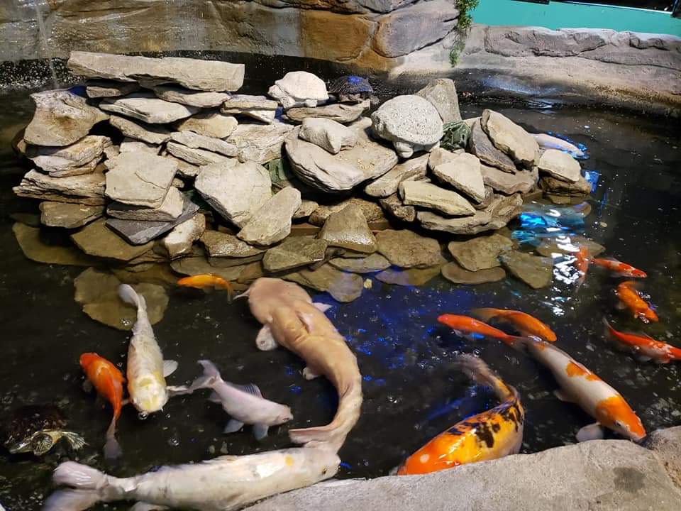 Acuario Seaport