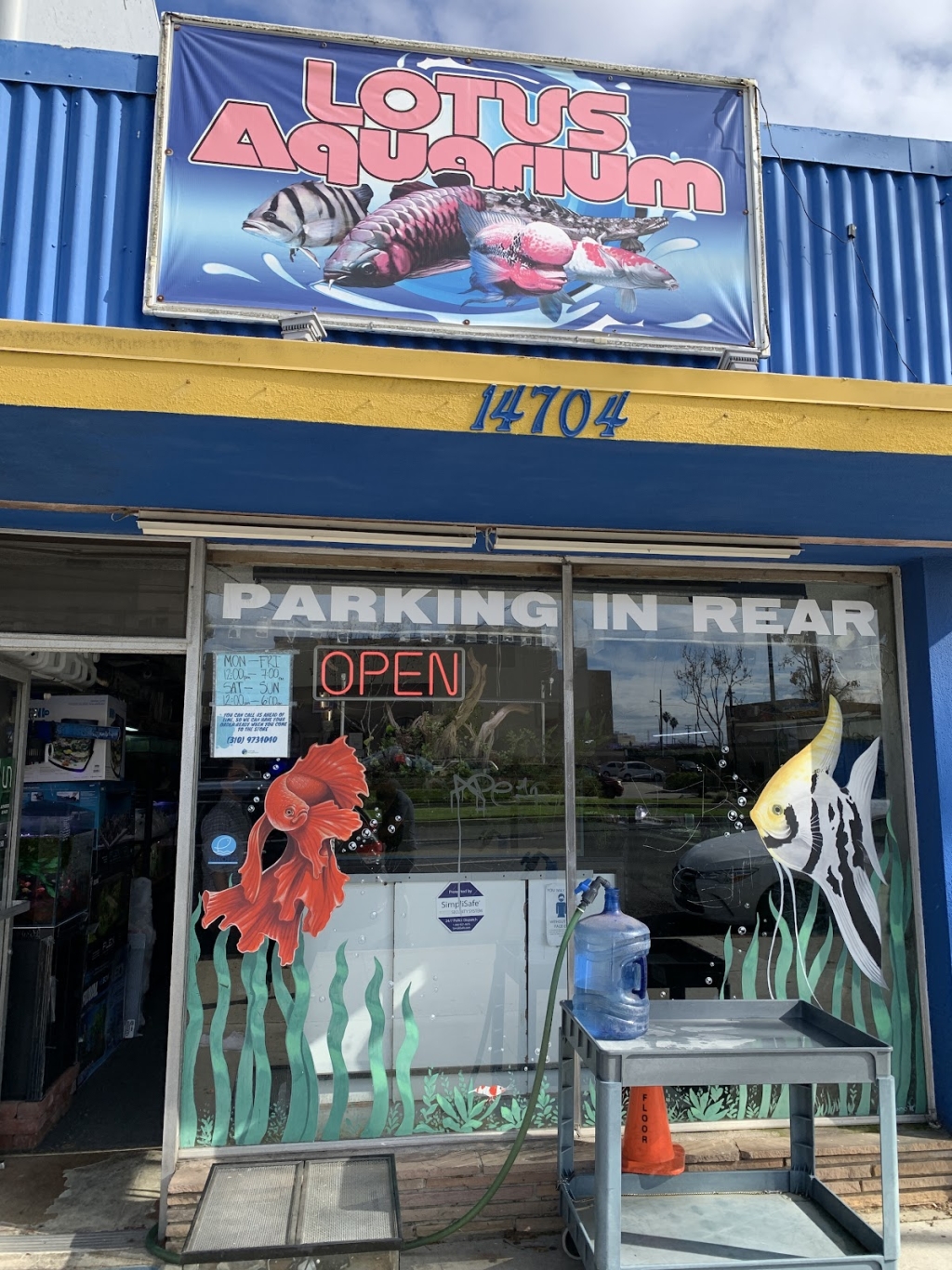 Acuario Loto