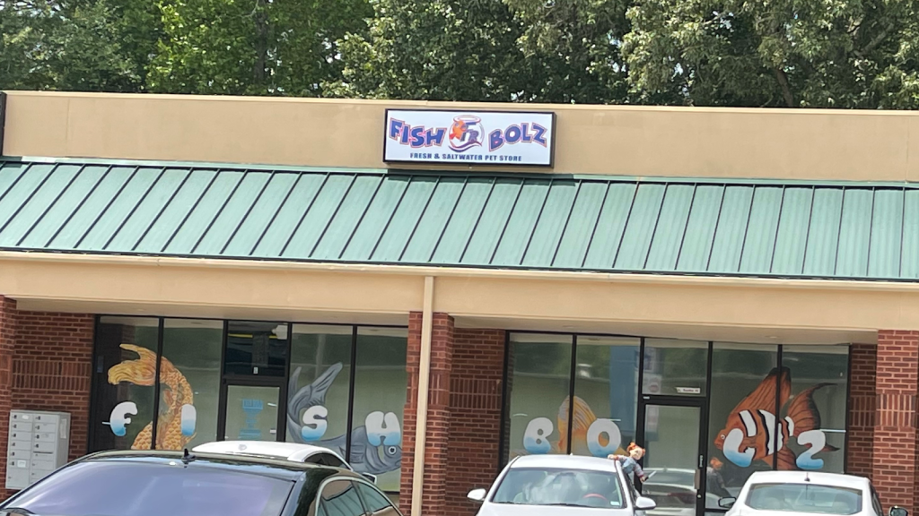 Fish Bolz