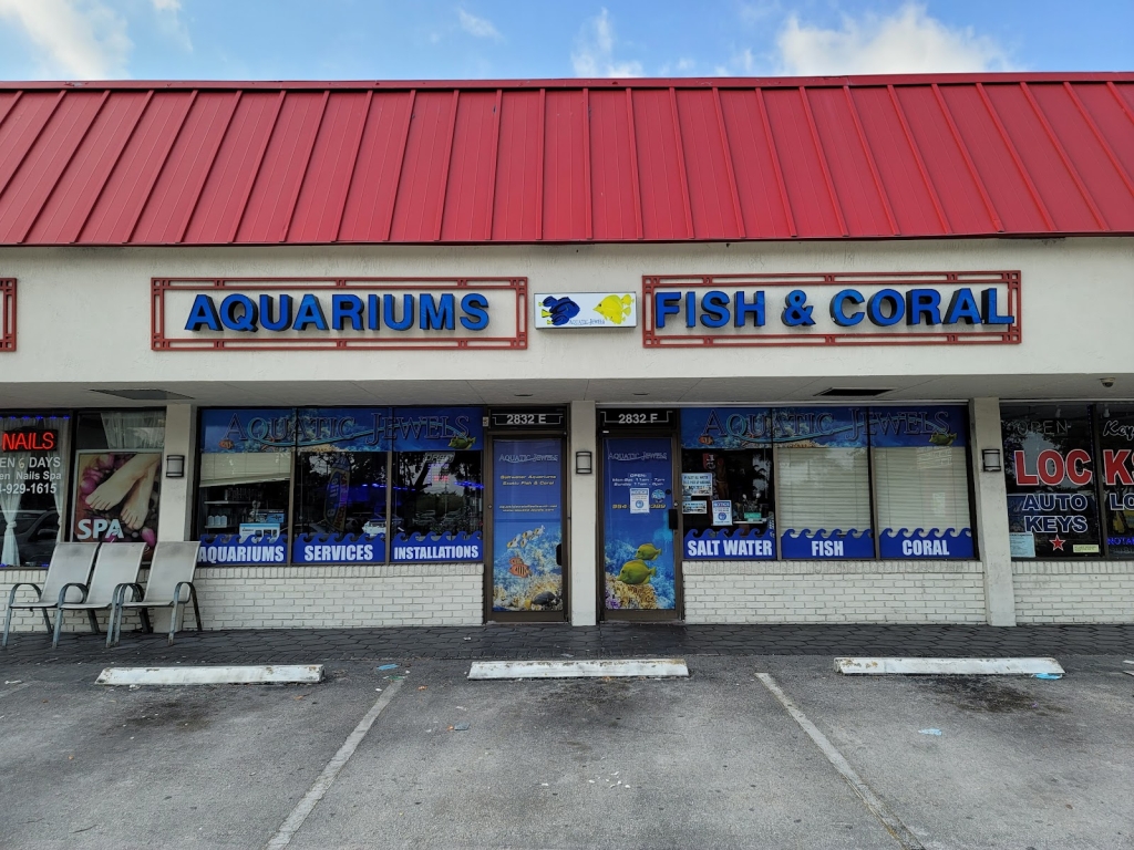 Aquatic Jewels