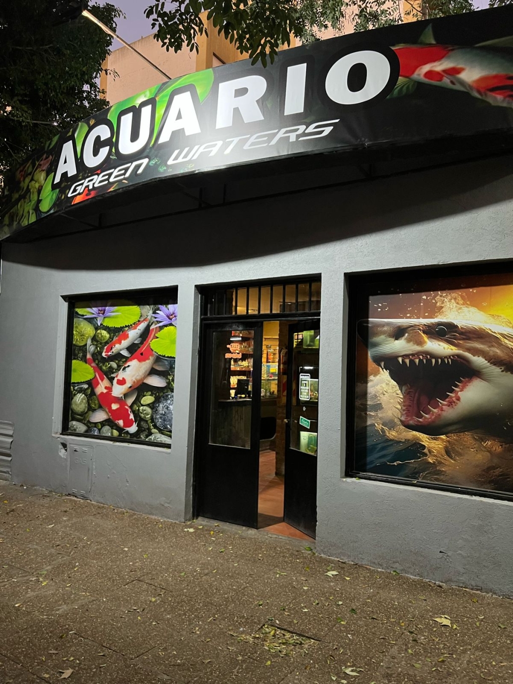 Acuario Green Waters