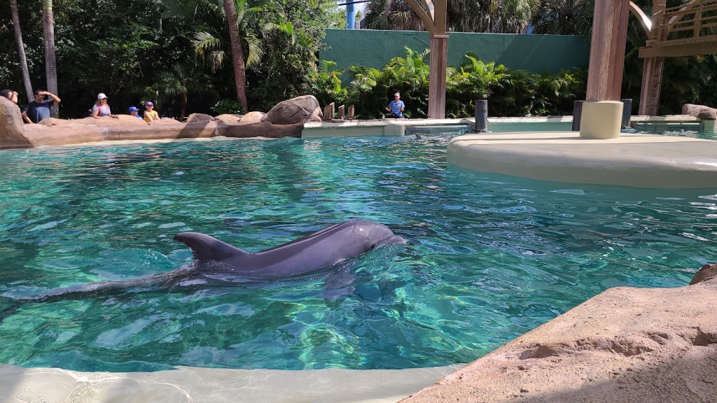 Guardería de Delfines