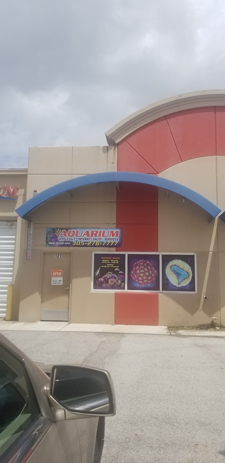 Acuario VIP Reef