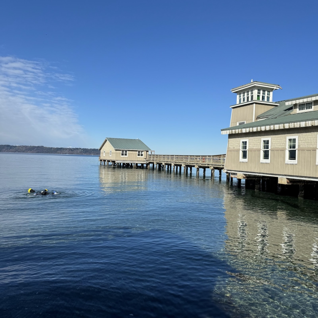 Acuario MaST Center