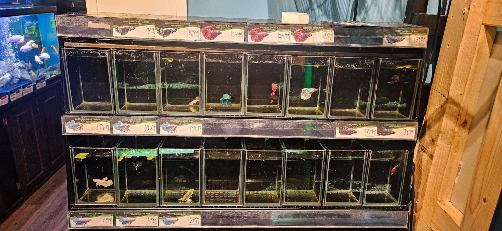 Whitlyn Aquatics, LLC