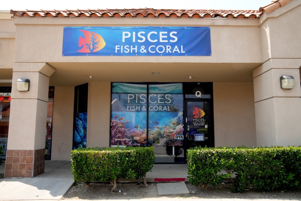 Pisces Peces y Coral