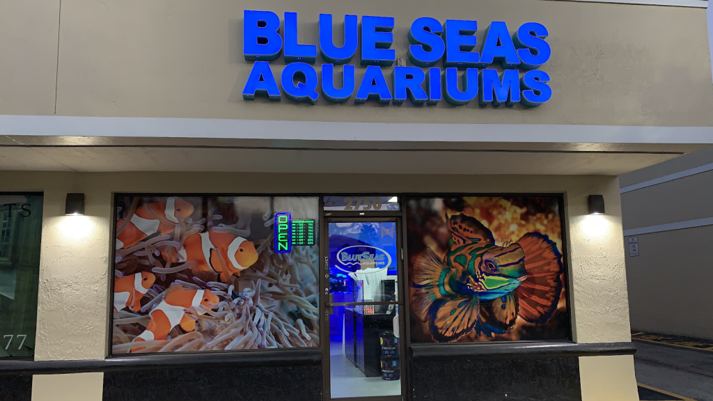 Blue Seas Aquariums