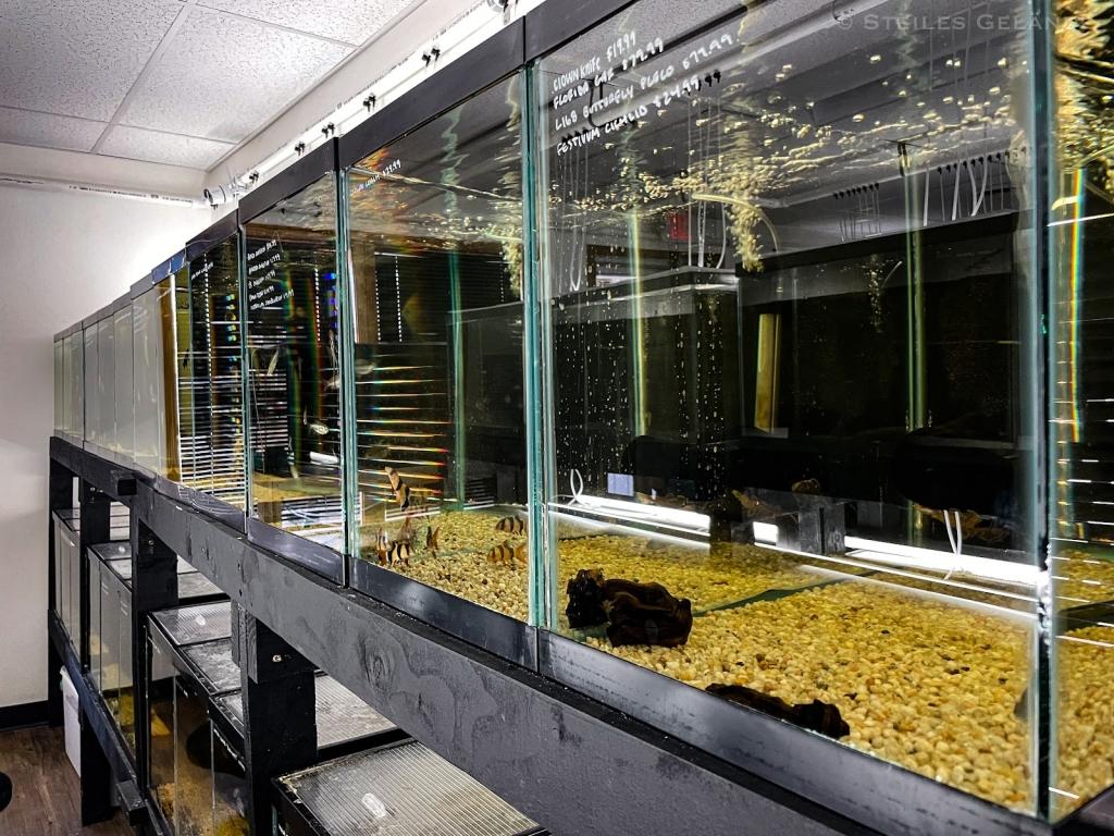 Cueva de Peces SRL