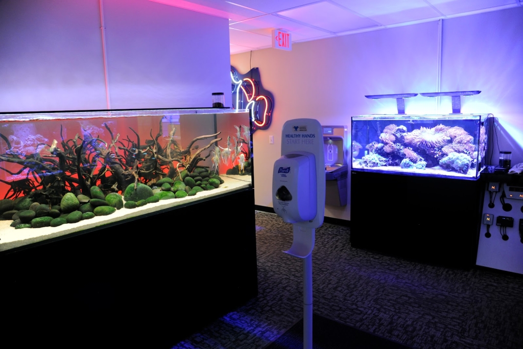 LiveAquaria