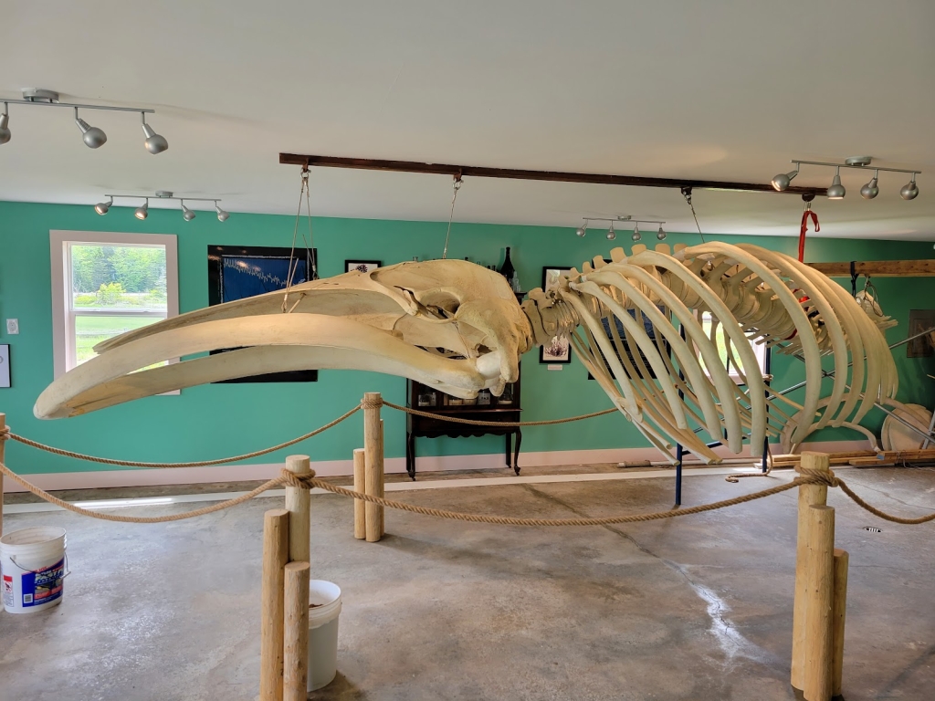 Oceanario y Centro de Educación