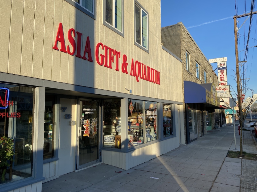 Asia Gift & Acuario
