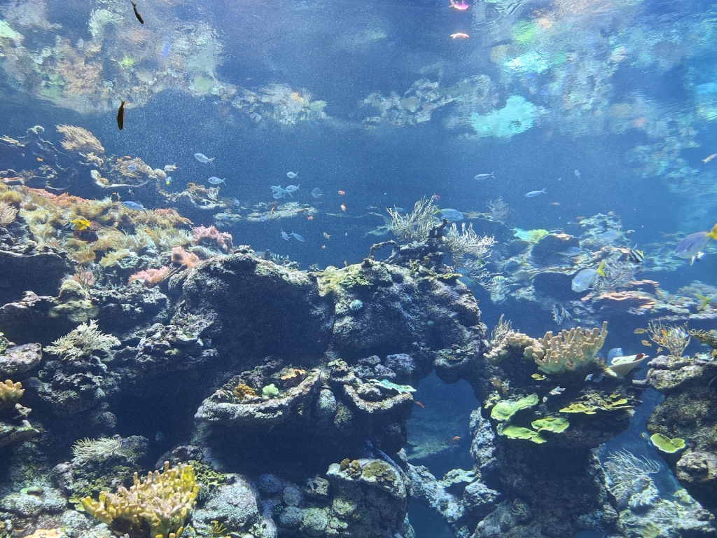 Acuario Steinhart