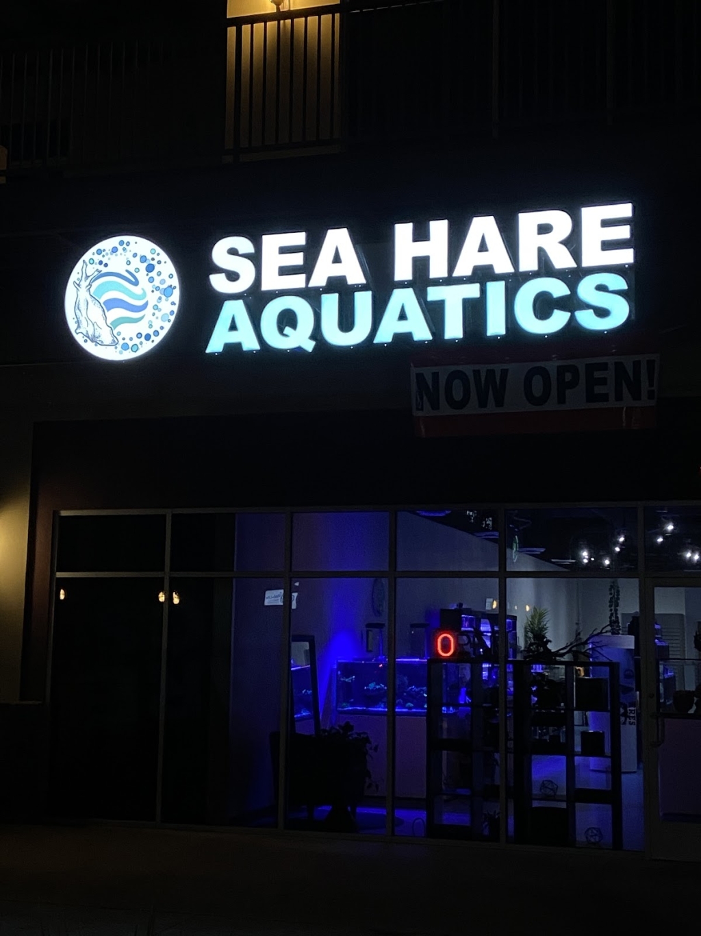 Acuáticos Sea Hare