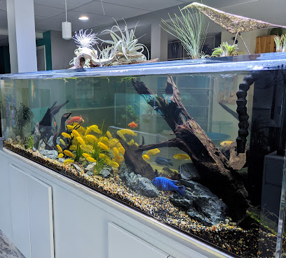 Acuario ABC