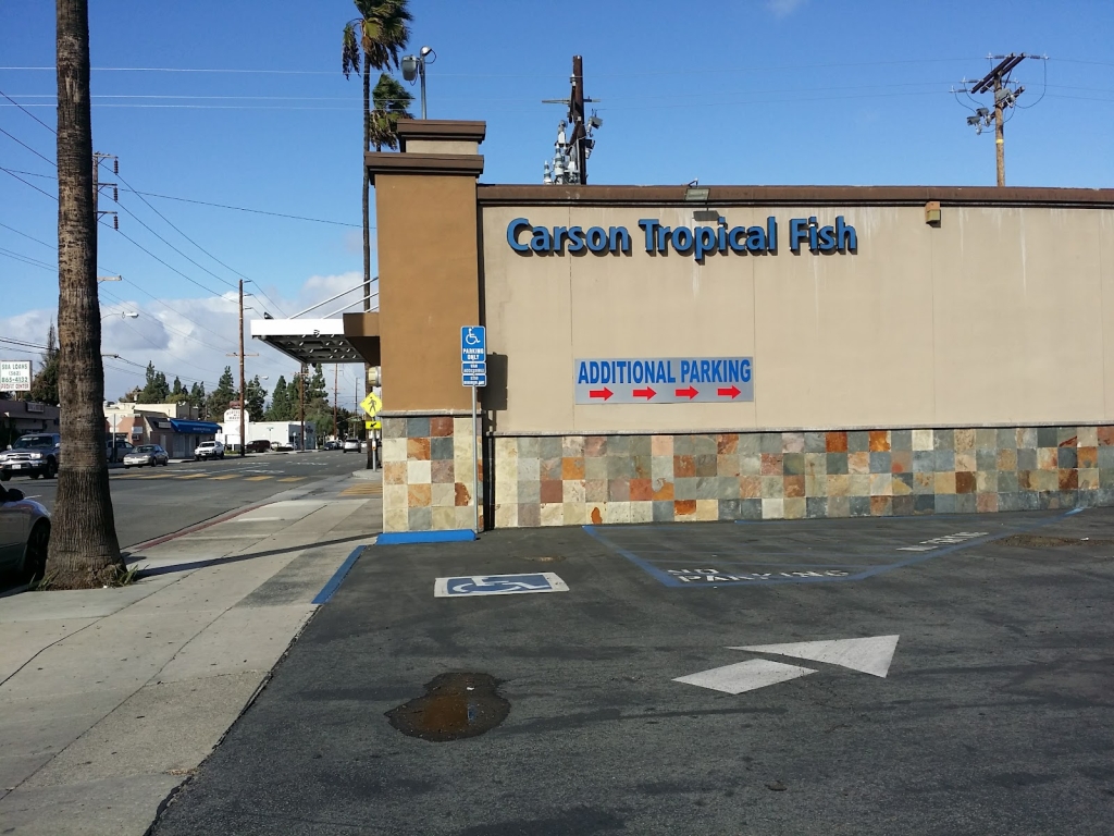 Carson Tropical Fish