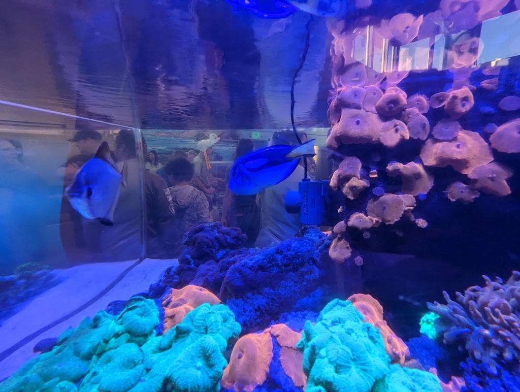 Acuario de la Escuela Secundaria Cabrillo