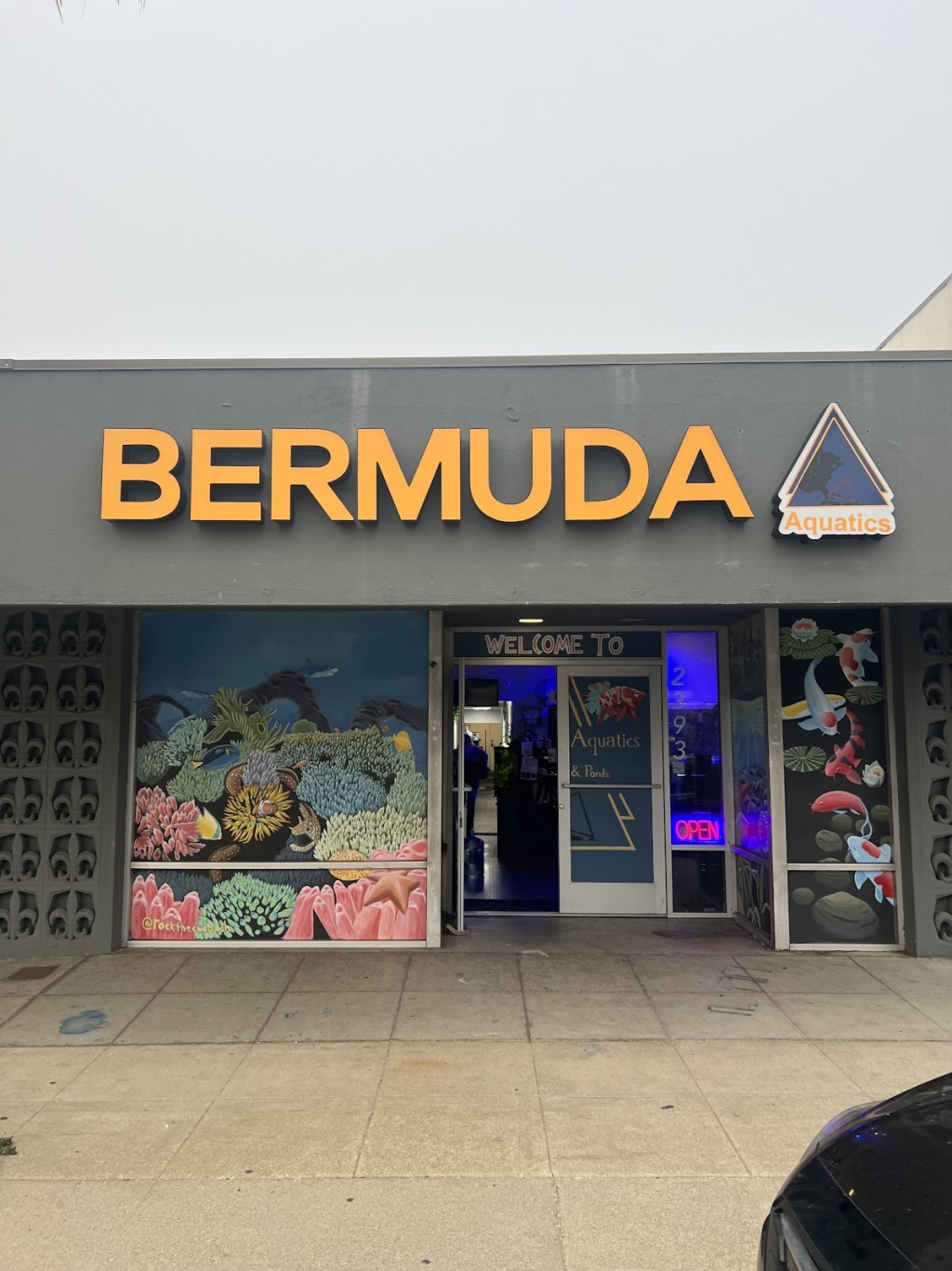 Acuarios Exóticos de Bermuda y Estanques