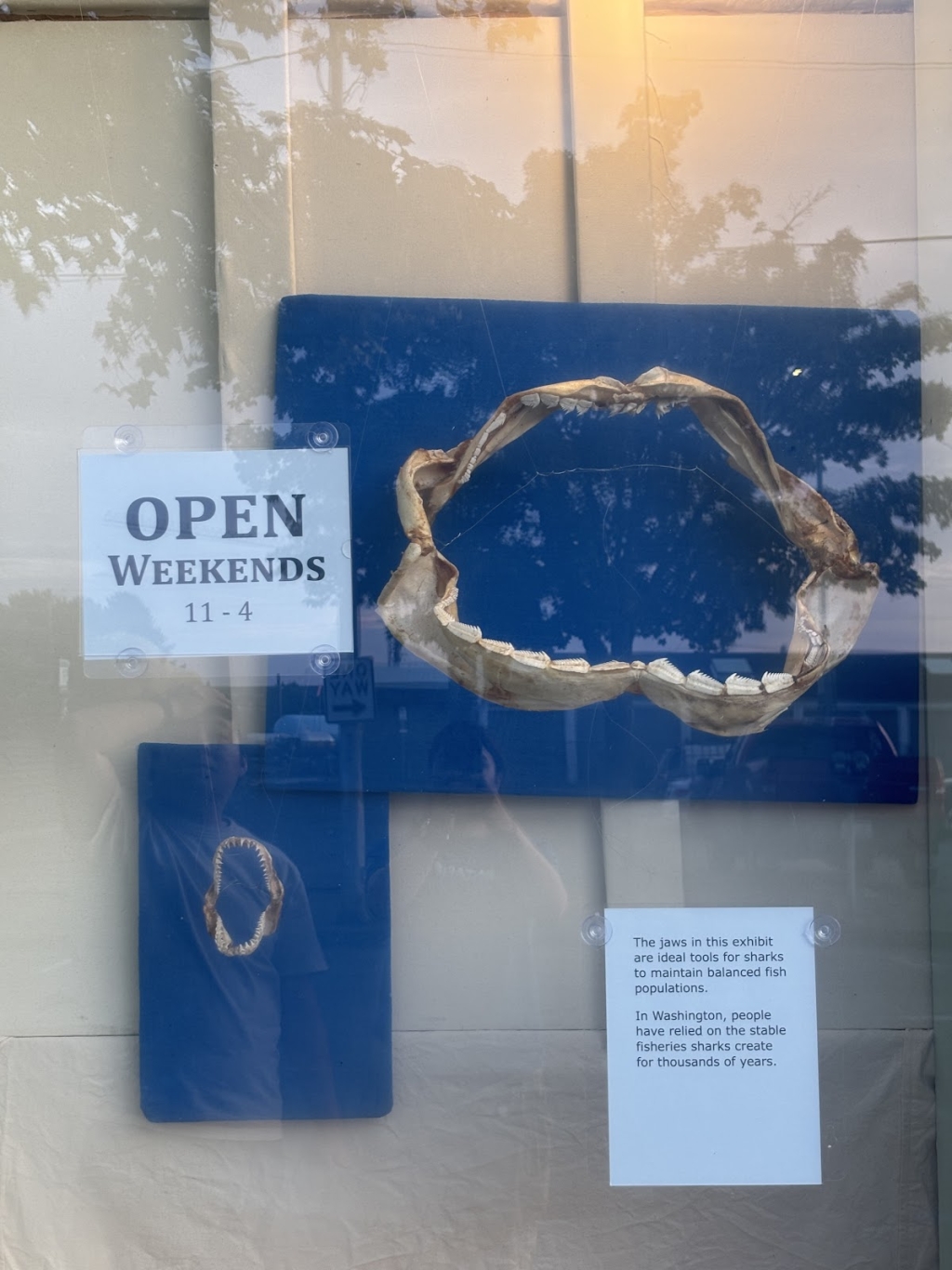 Puget Sound Estuarium