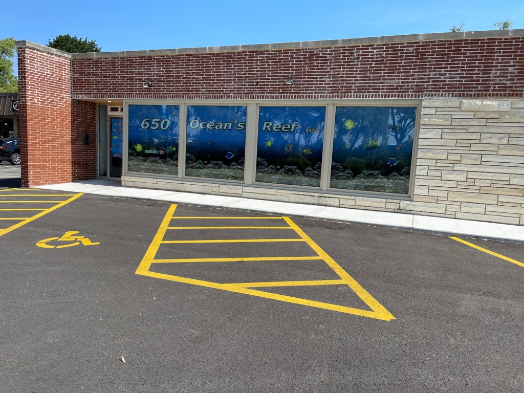 650 Oceans Reef Inc