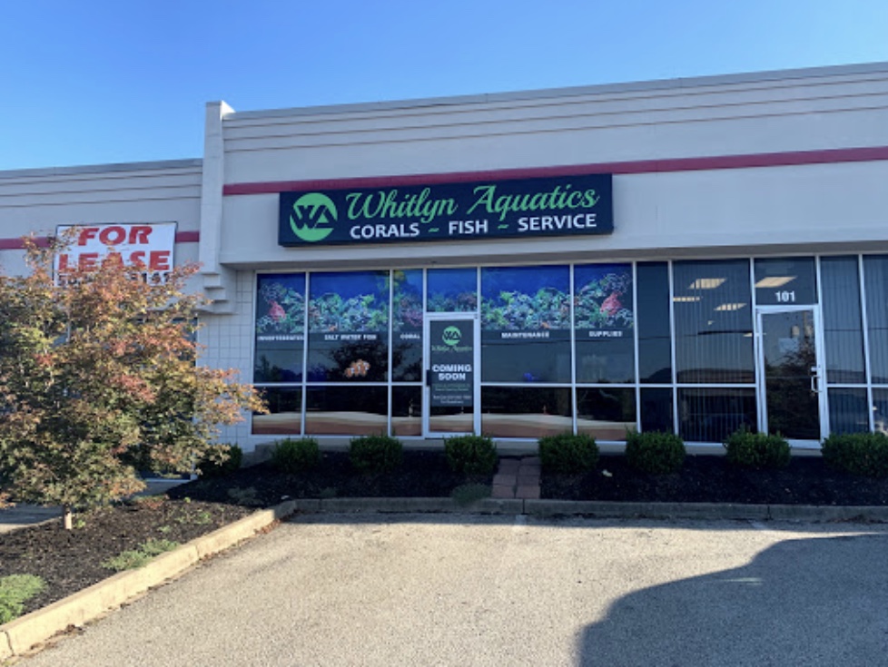 Acuáticos de la Ciudad de Derby