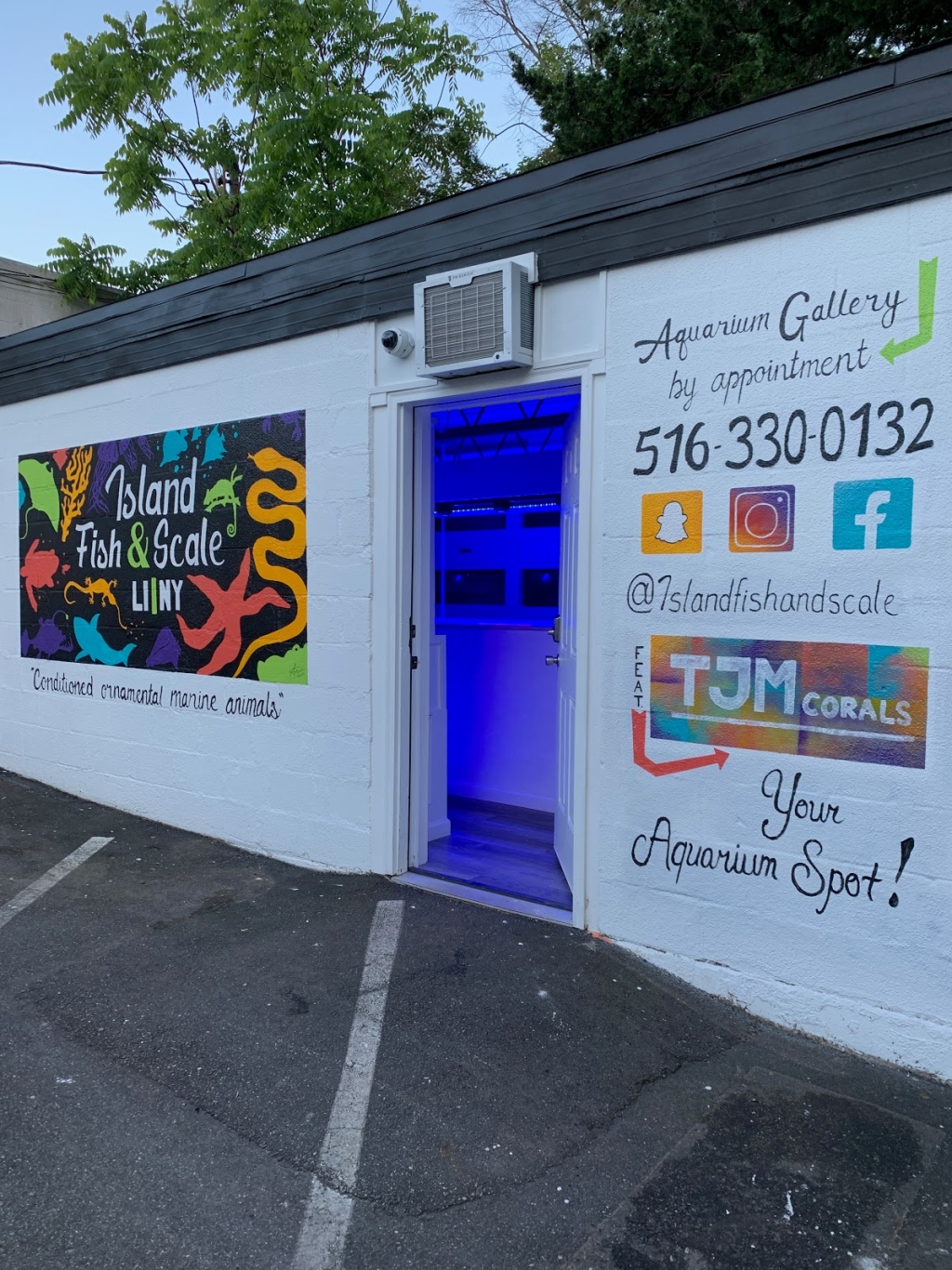 Island Fish and Scale