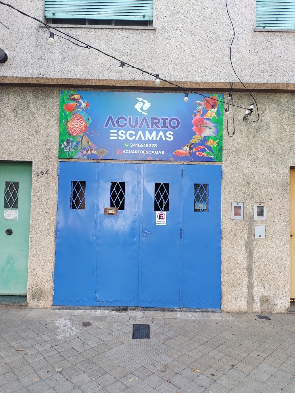 Acuario Escamas