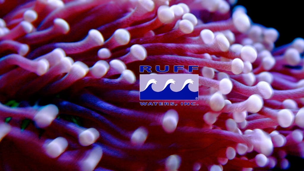 Ruff Waters, Inc.