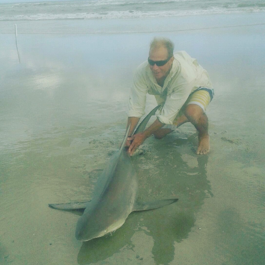 Shark Park NSB - Capital Mundial de los Tiburones