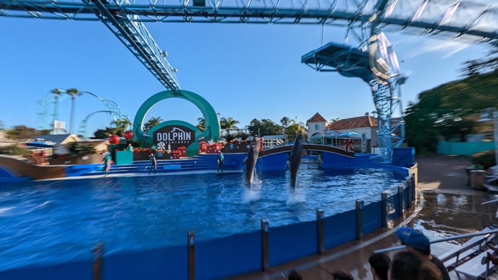 Encuentro con delfines