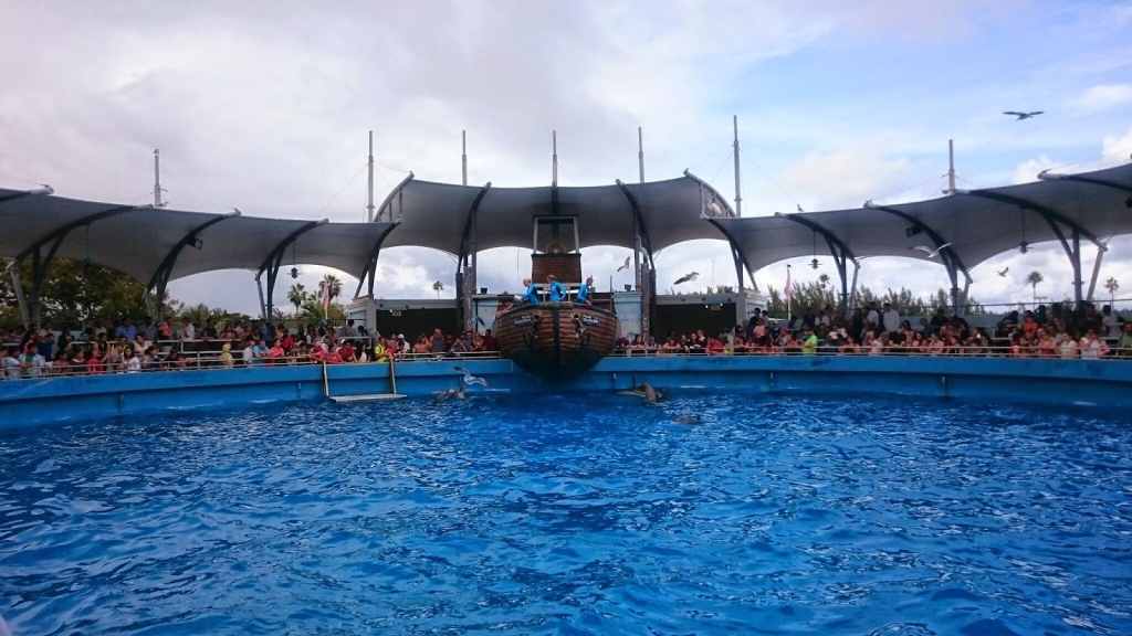 Puerto de Delfines