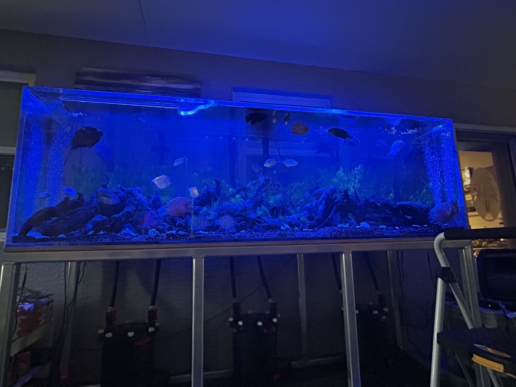 Suncoast Aquarium Inc