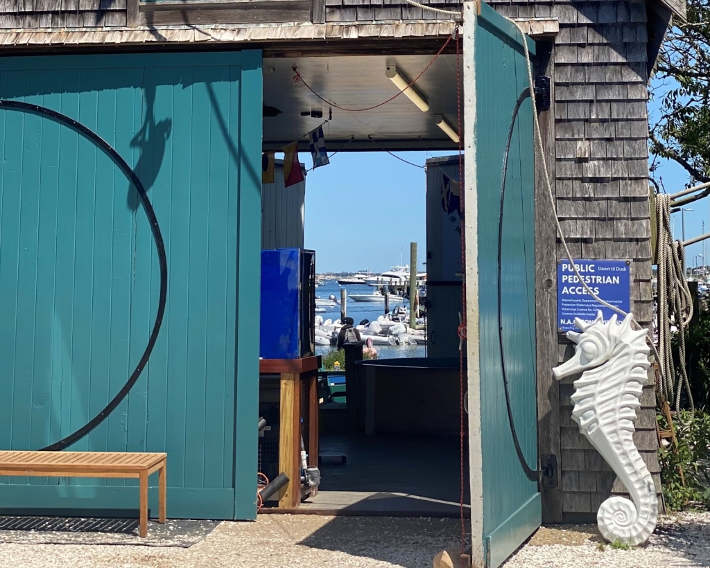 Maria Mitchell Aquarium & Sea Shop